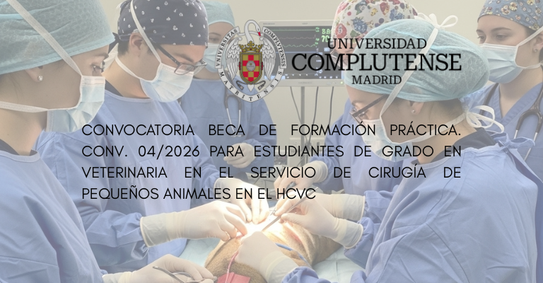 Conv. 04/2026 para el Servicio de Cirugía de pequeños animales en el HCVC
